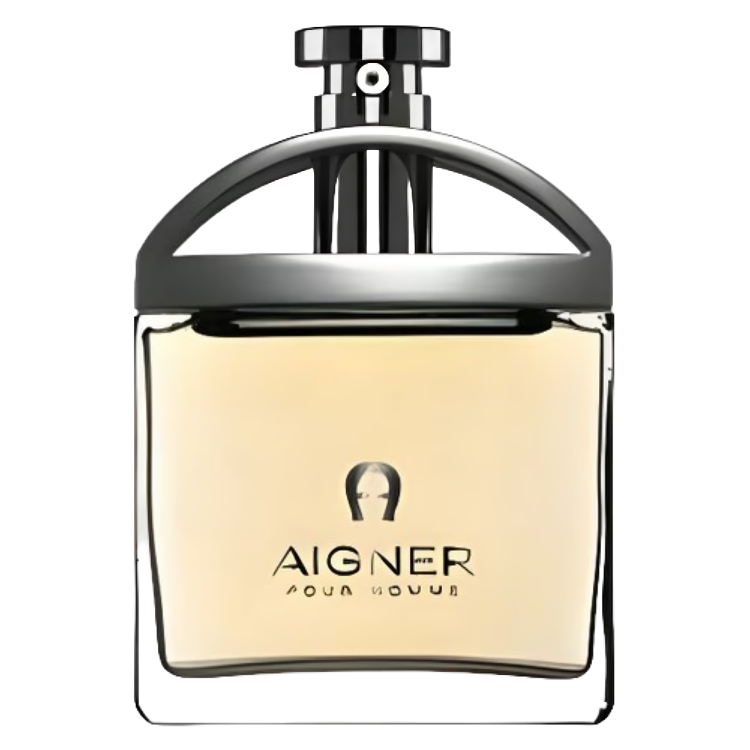 Aigner pour Homme Etienne Aigner for men 100ML