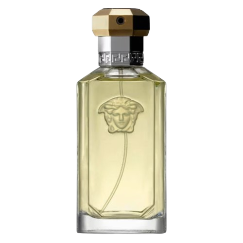 The Dreamer Versace for men 100ML